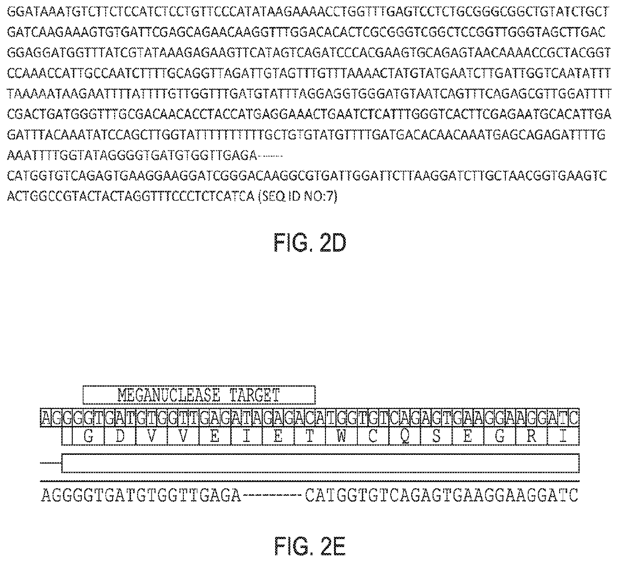 Engineered nucleases to generate deletion mutants in plants