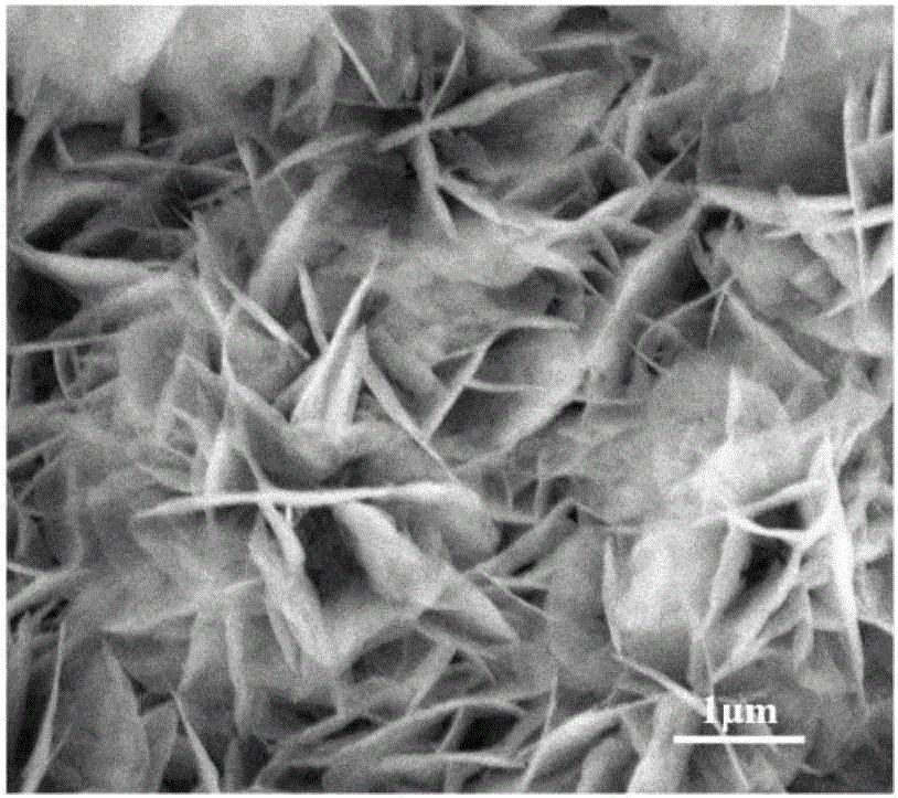 Noble-metal/vertical-grown layered-double-hydroxide (LDH) nanosheets for methanol fuel-cell catalyst and preparation method of noble-metal/vertical-grown LDH nanosheets