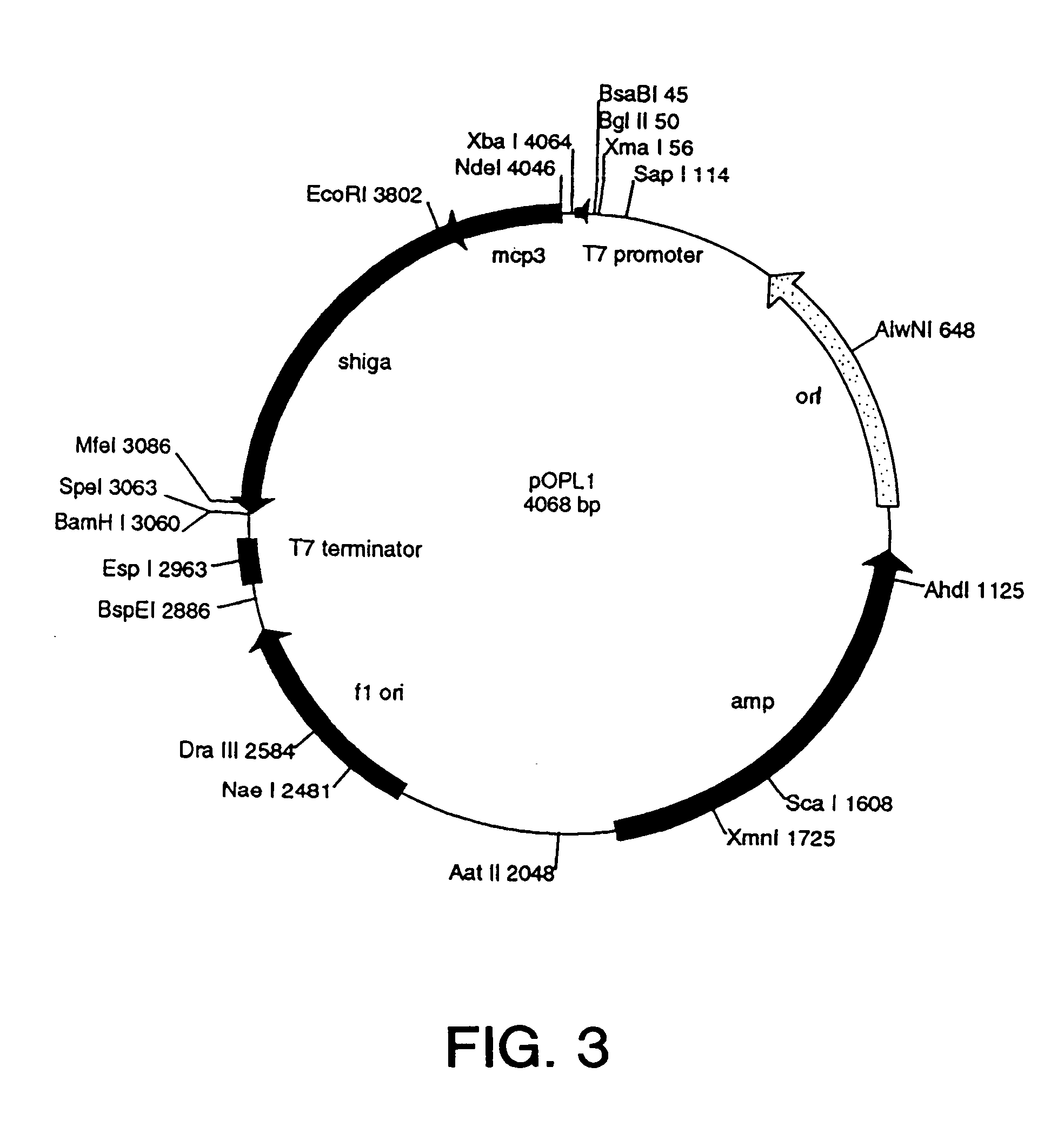 Methods and compositions for treating secondary tissue damage and other inflammatory conditions and disorders