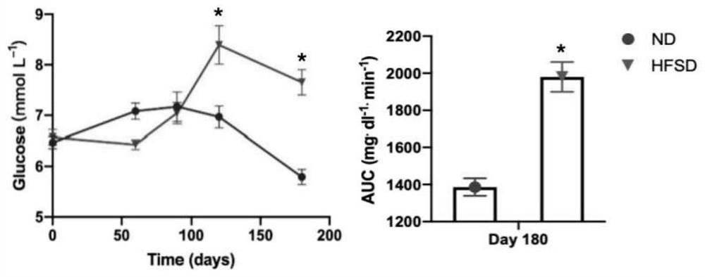 High-fat and high-sugar diet induced dry age-related macular degeneration pigment rabbit model