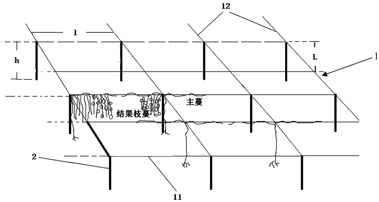 Permeable shelf-shaped cultivation method for passion fruit