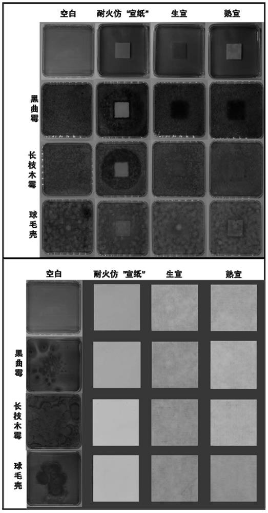 Refractory Imitation "Xuan Paper"