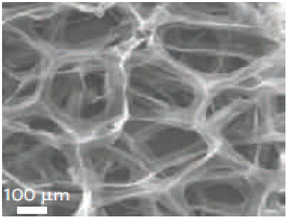 Carbon nanotube three-dimensional network macroscopic body, its polymer composite material and its preparation method