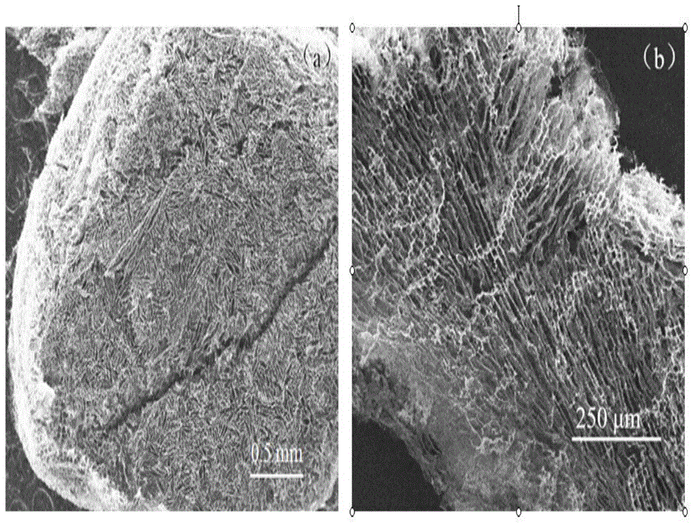 Carbon nanotube three-dimensional network macroscopic body, its polymer composite material and its preparation method