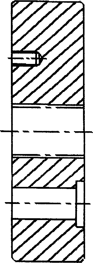 Synthetic-resin window sectional materials with multiple-color and three-dimensional surface figure and producing apparatus thereof