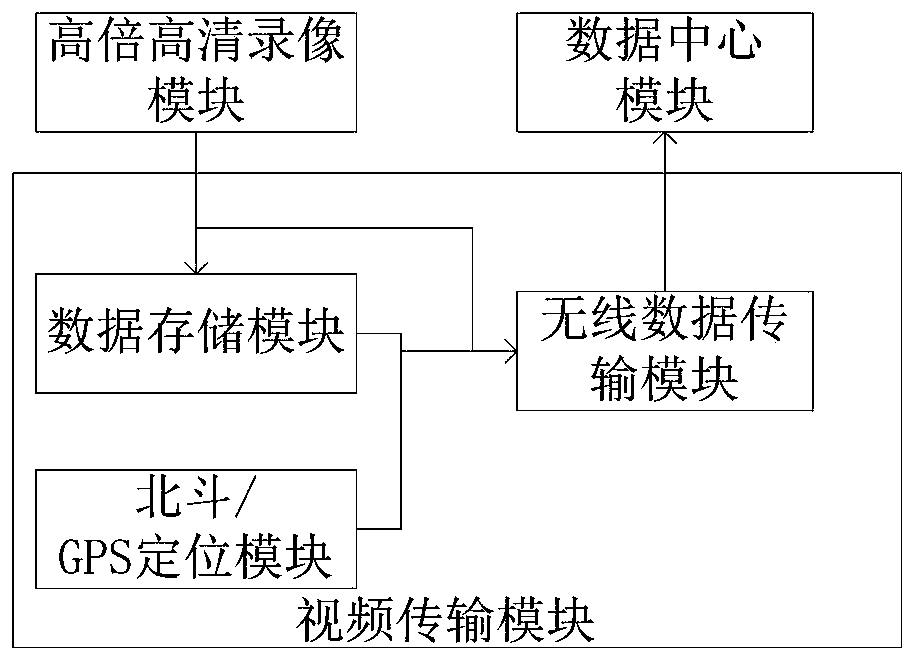 Tree disease and insect pest monitoring system and method