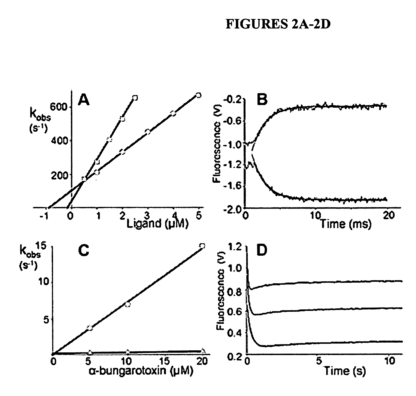 Acetylcholine binding protein, and methods of identifying agents that modulate acetylcholine receptor activity