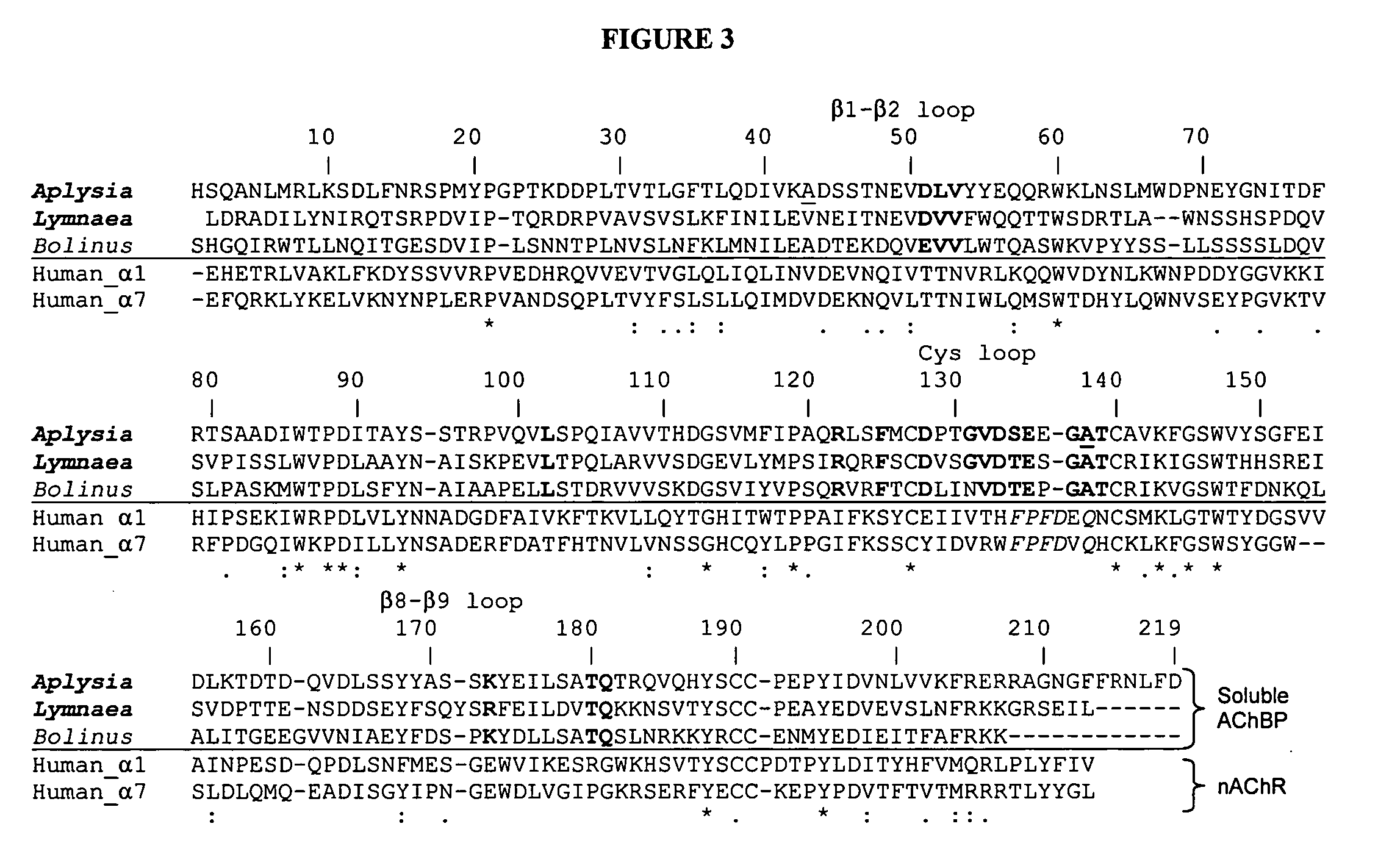 Acetylcholine binding protein, and methods of identifying agents that modulate acetylcholine receptor activity