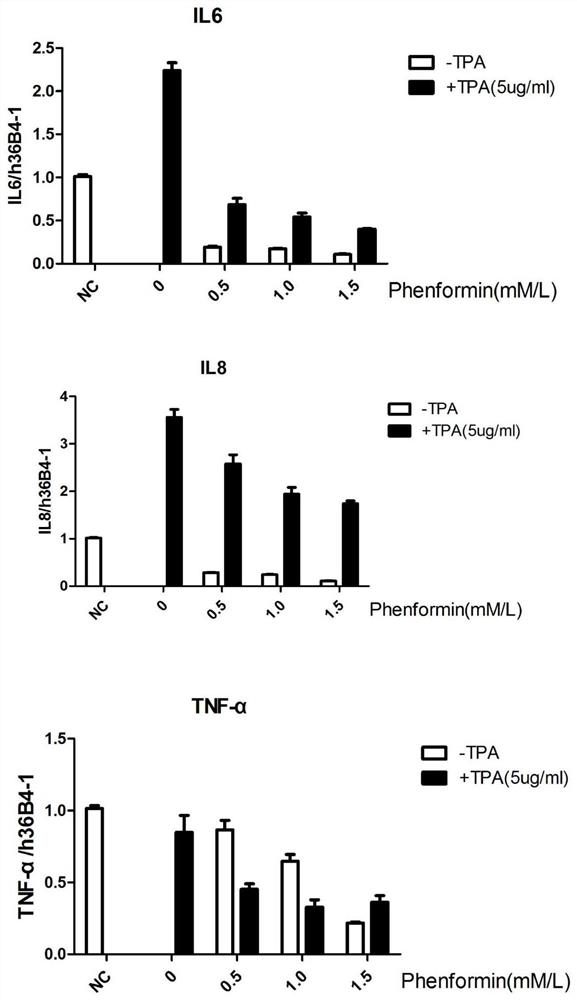 Use of phenformin in the preparation of anti-inflammatory preparations for skin