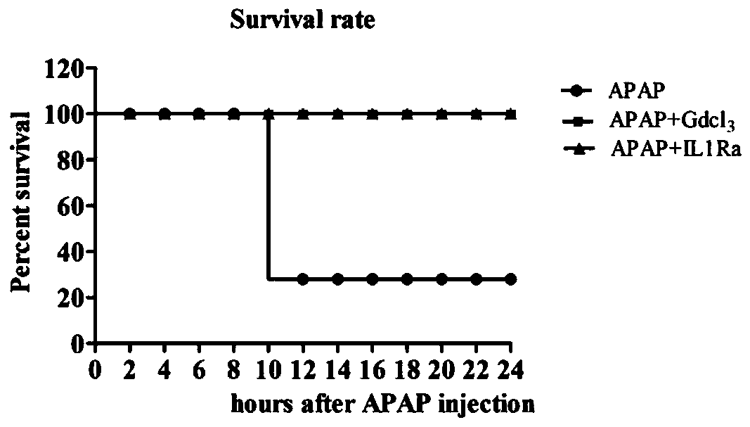 Kupffer cell activity inhibitor and application of inhibitor in preparation of drug for treating acute liver failure