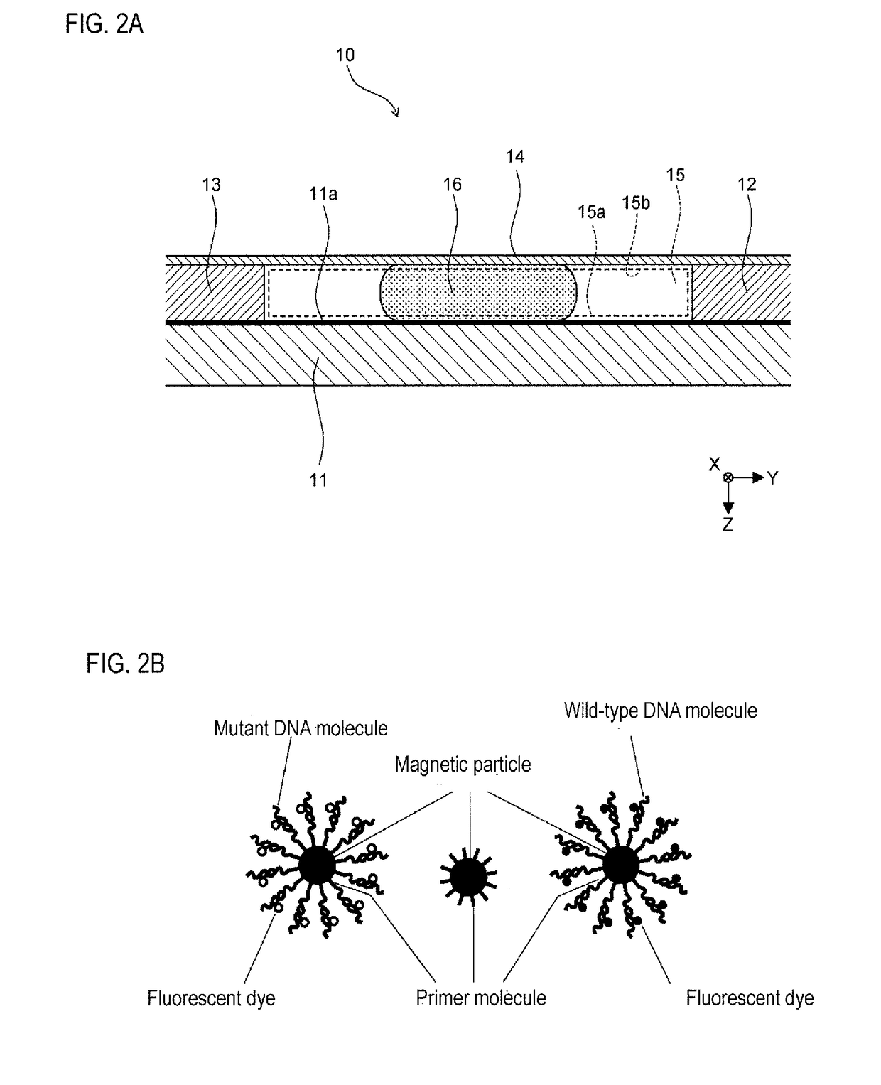 Detection method and detection device