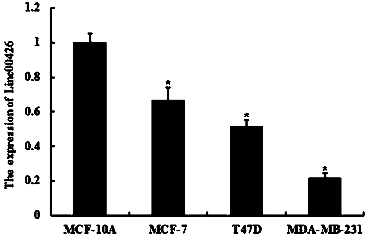 Application of long non-coding ribonucleic acid (lncRNA) in diagnosis and/or treatment of breast cancer