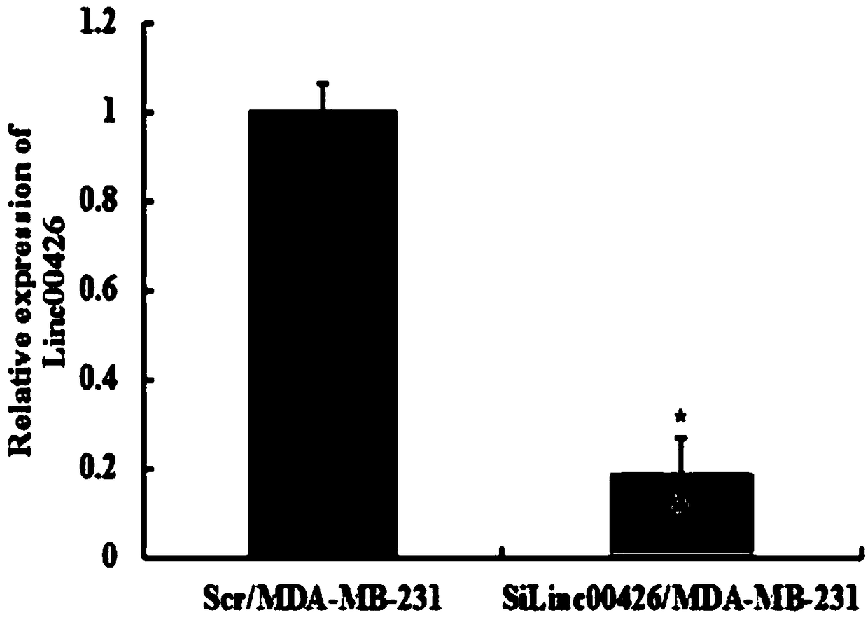 Application of long non-coding ribonucleic acid (lncRNA) in diagnosis and/or treatment of breast cancer