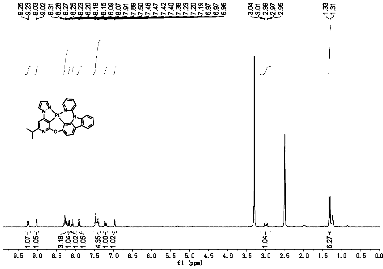 Divalent platinum complex and preparation method and application thereof