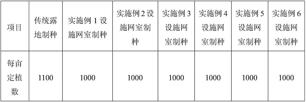 Hybridization seed production method capable of improving purity and germination rate of wax gourd seeds