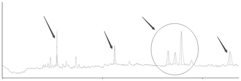 Spectrum peak analysis method and device applied to gas chromatography