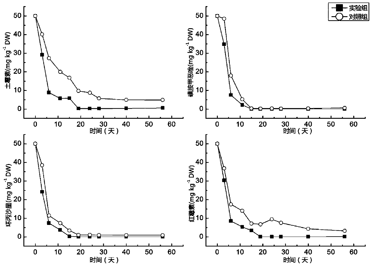 A Strain of Bacillus urea sc-7 and Its Application in Composting