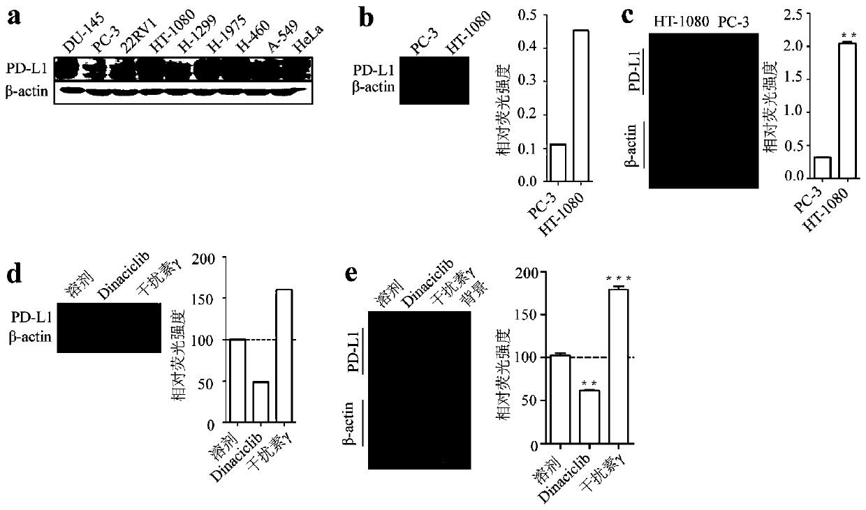 Inhibitor for targeted tumor cell surface PD-L1 molecules and application thereof