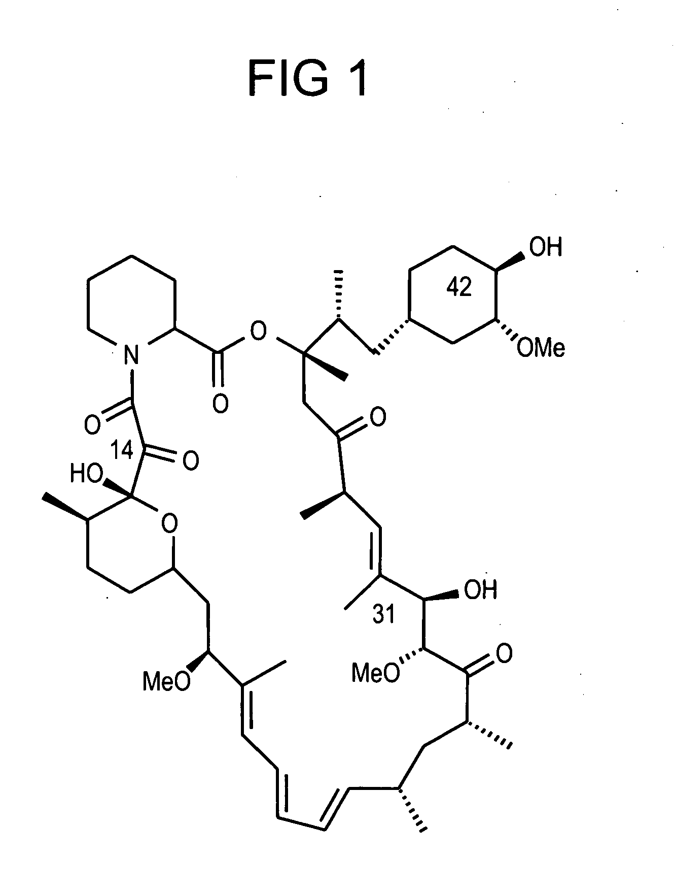 Isomers of rapamycin and 42-Epi-rapamycin, methods of making and using the same