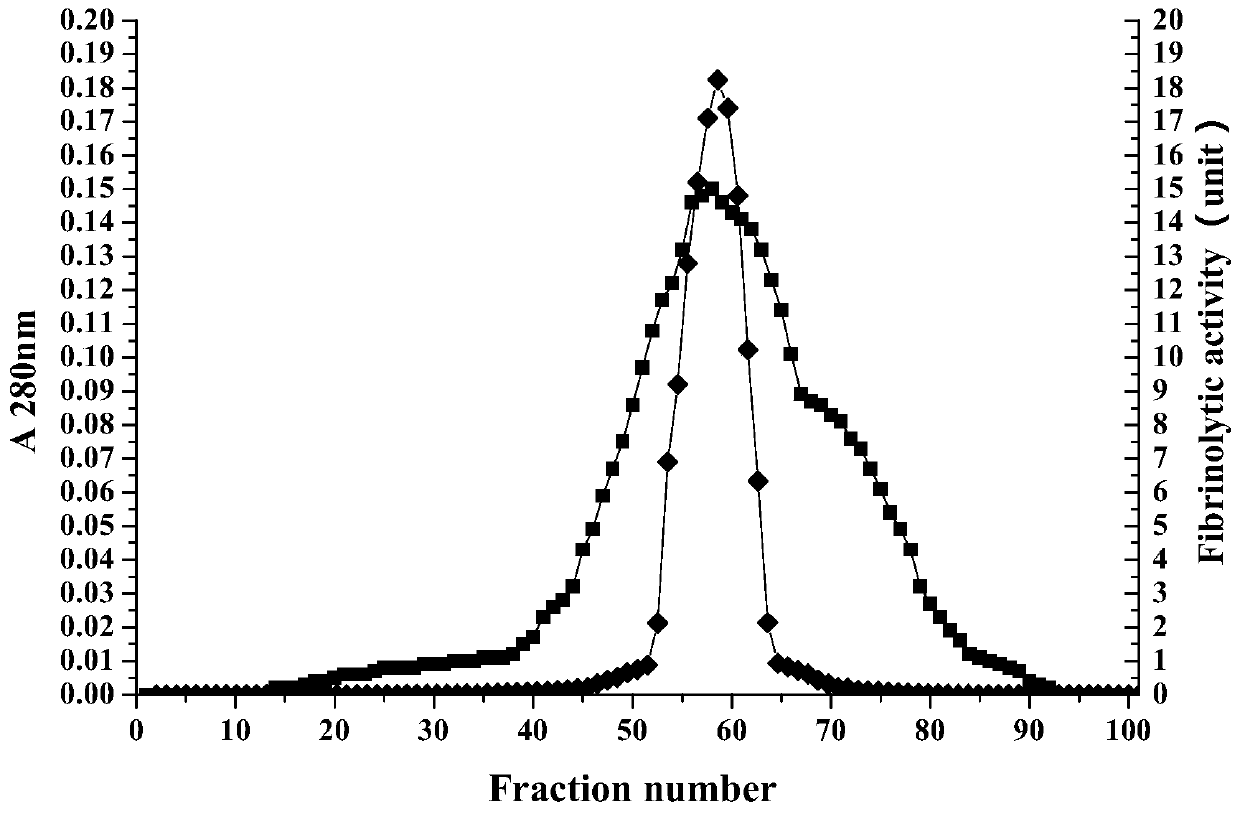 A kind of murine fibrinolytic active protein and its application