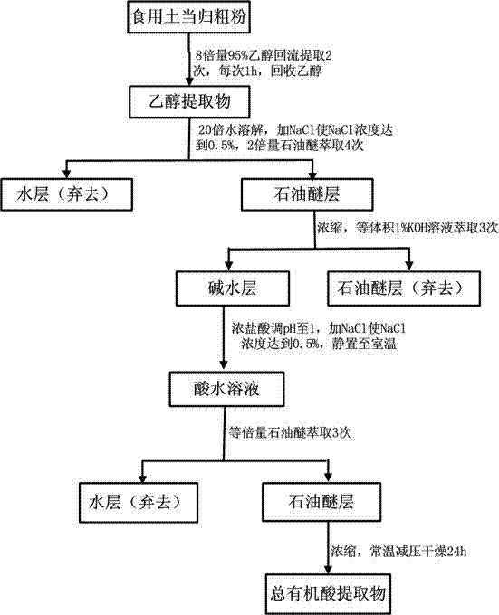 Process for extracting and purifying total organic acid of aralia cordata