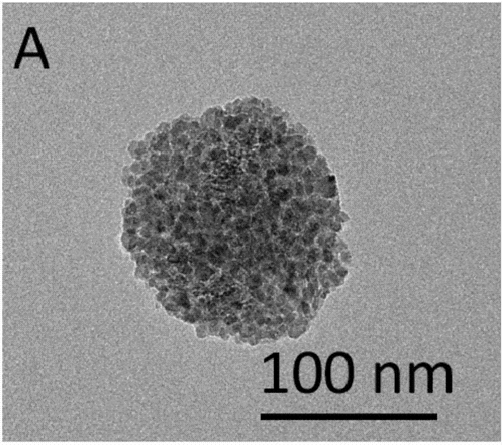 Preparation method of gamma-Fe2O3 superparamagnetic nanoclusters