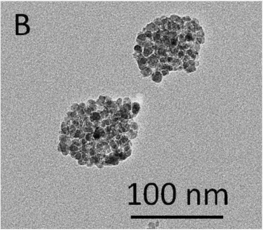 Preparation method of gamma-Fe2O3 superparamagnetic nanoclusters