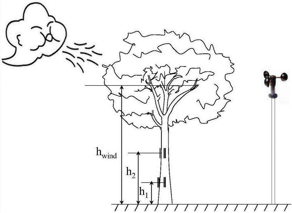 Tree wind load measurement method