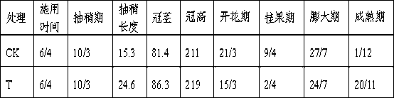 Special carbon-vinegar slow-release biological fertilizer for fruit trees and preparation method thereof