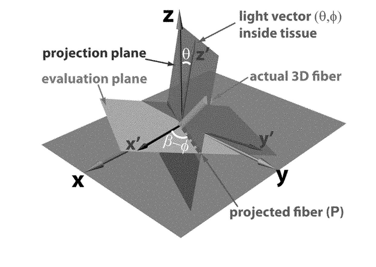 Optical polarization tractography methods