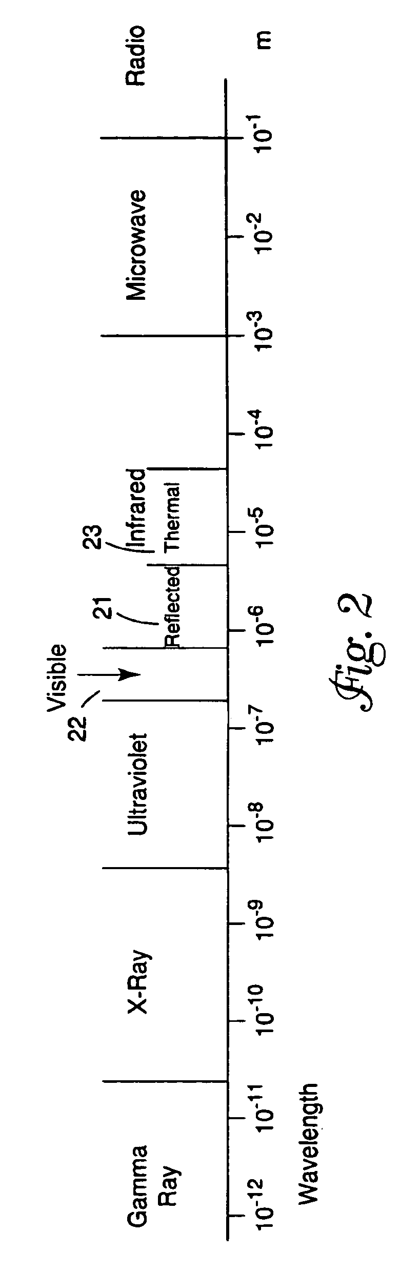 Detection system and method using thermal image analysis