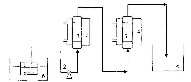 Method for preparing functional grease by enzyme catalysis and modificaiton on tea oil