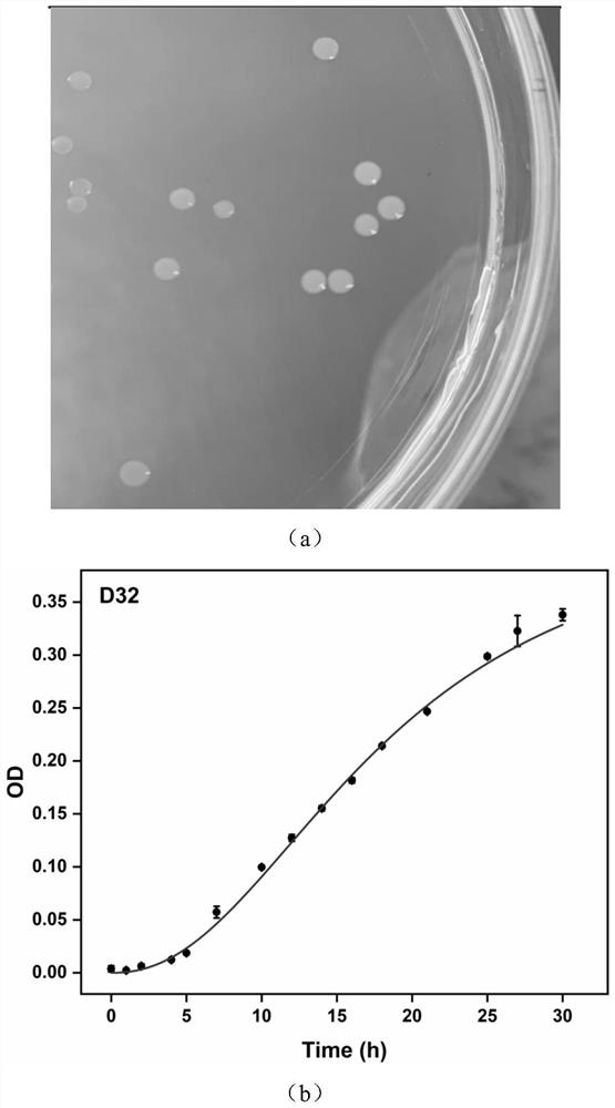 A Dexamethasone Efficient Degradation Bacteria and Its Application