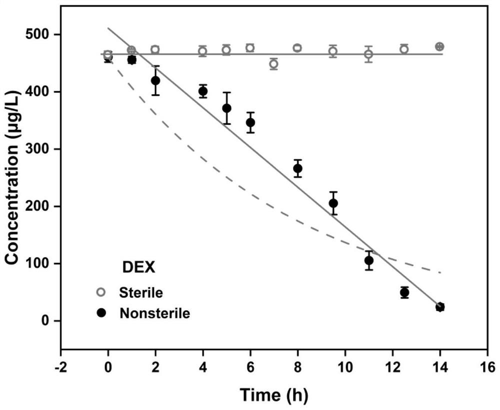 A Dexamethasone Efficient Degradation Bacteria and Its Application