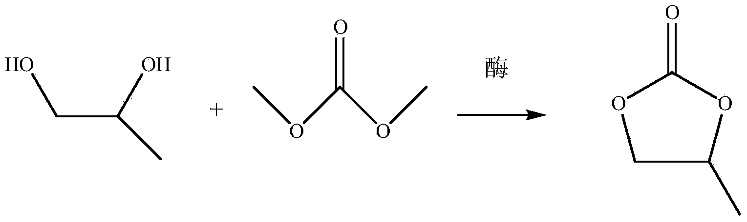 Method for preparing methylene carbonic ester by using enzymic method
