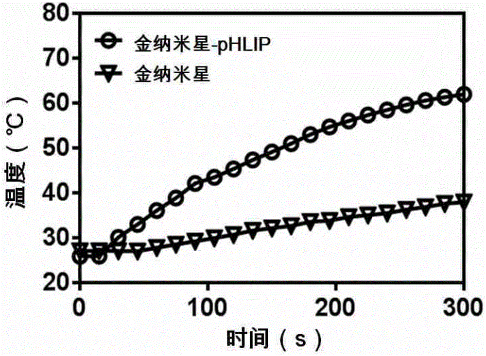 Gold nanostar materials cross-linked with pH-responsive transmembrane small peptides and their applications