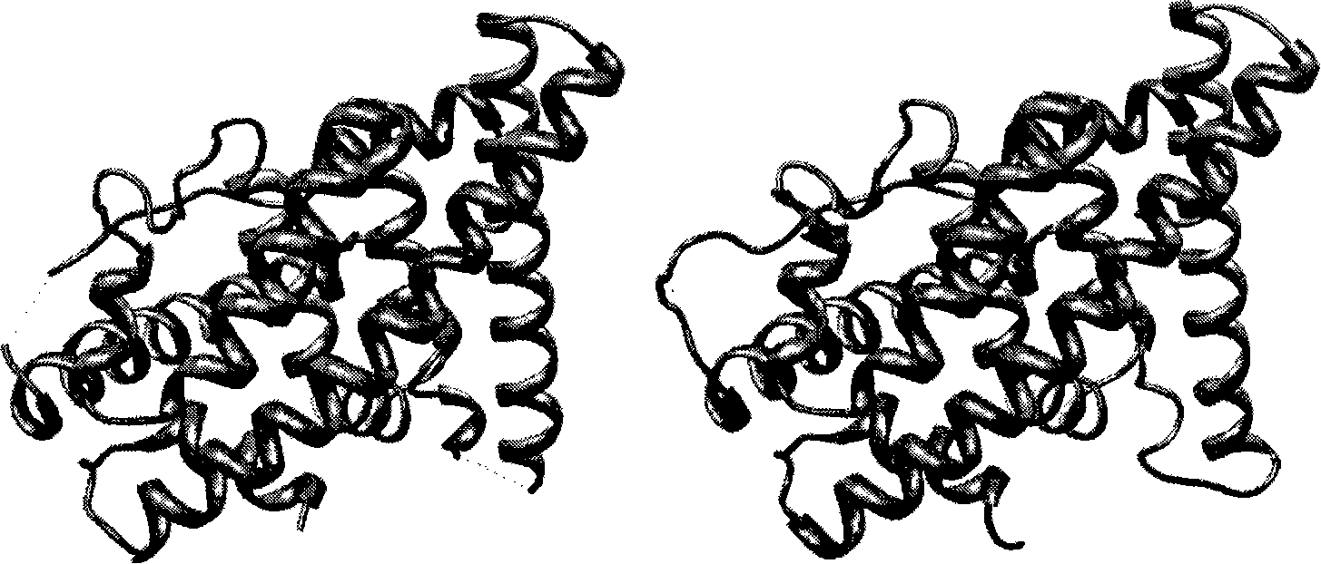 Method for recognizing organic estrogen receptor agonism and antagonistic effect