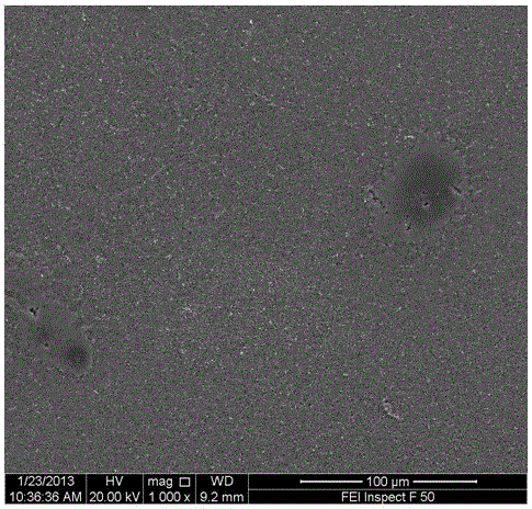 Method for preparing mesoporous silicon nanowires by metal nanoparticle-assisted etching method