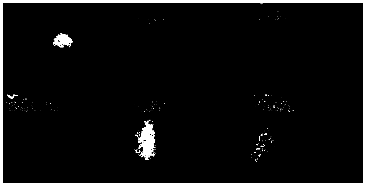 Method for preparing spinel structure cobalt aluminate pigment by solution combustion method