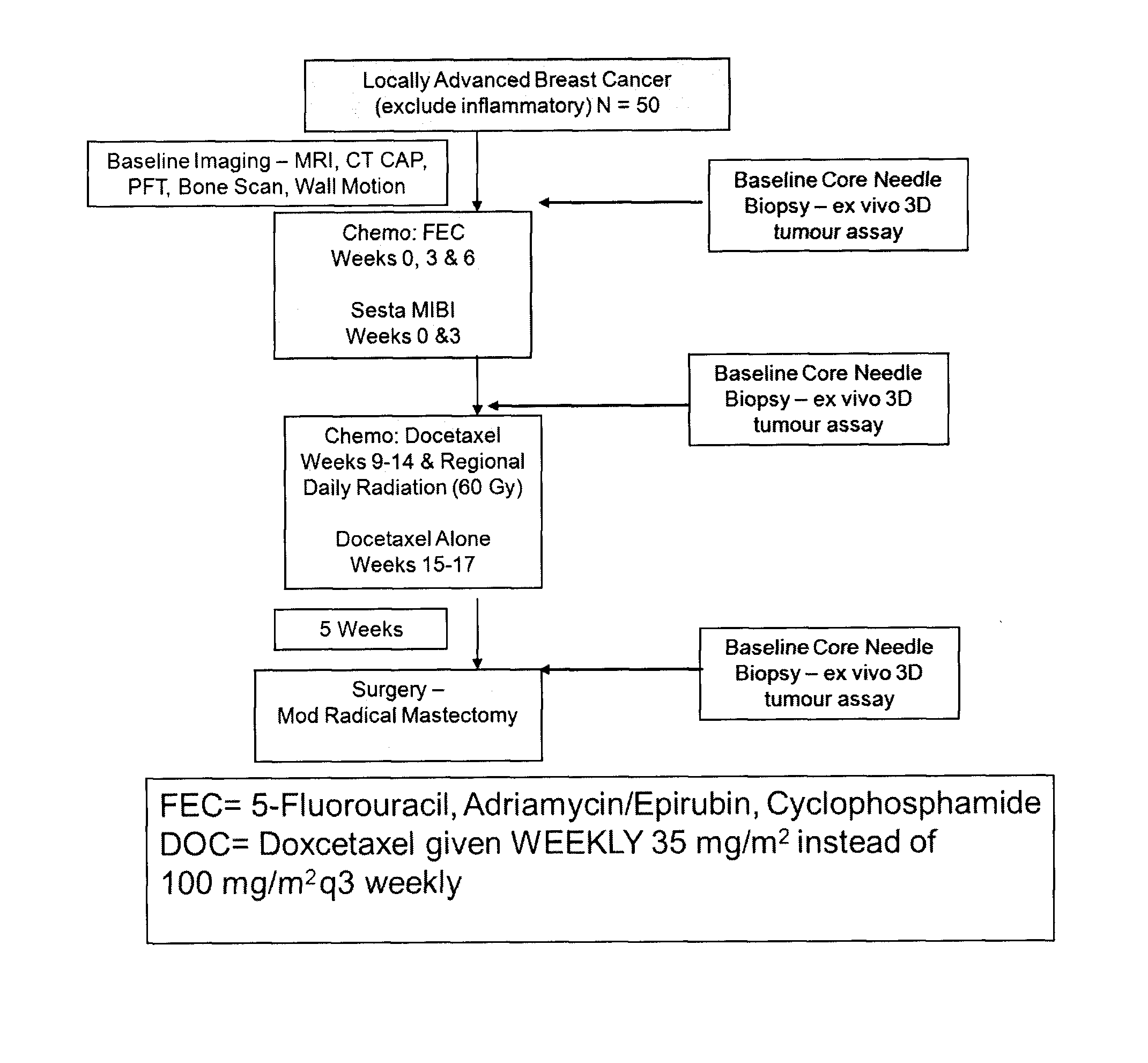 Methods and Kits for Monitoring Response to Radiation Therapies in Cancer