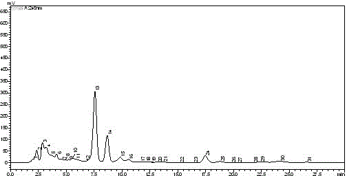 Sorangiumcellulosum strain and application thereof to synthesis of epothilone