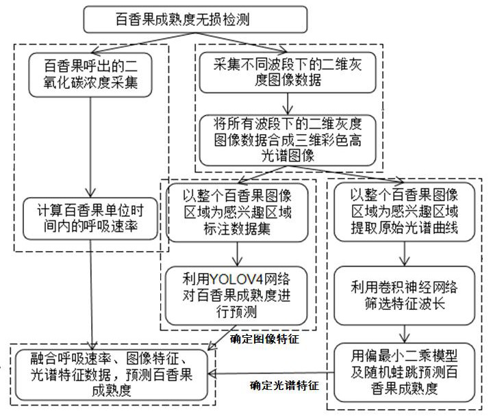 A method and device for nondestructive testing of passion fruit maturity based on multi-source information