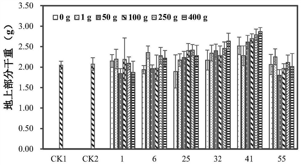 Plant probiotic flora constructed by beneficial bacterium mutant strain and application of plant probiotic flora