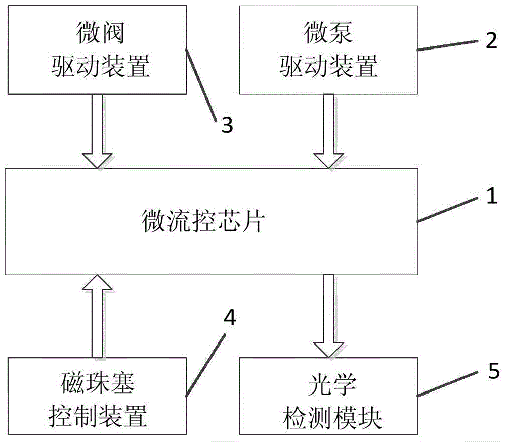 Microfluidic chip-based immunoaggregation detection method, chip and system