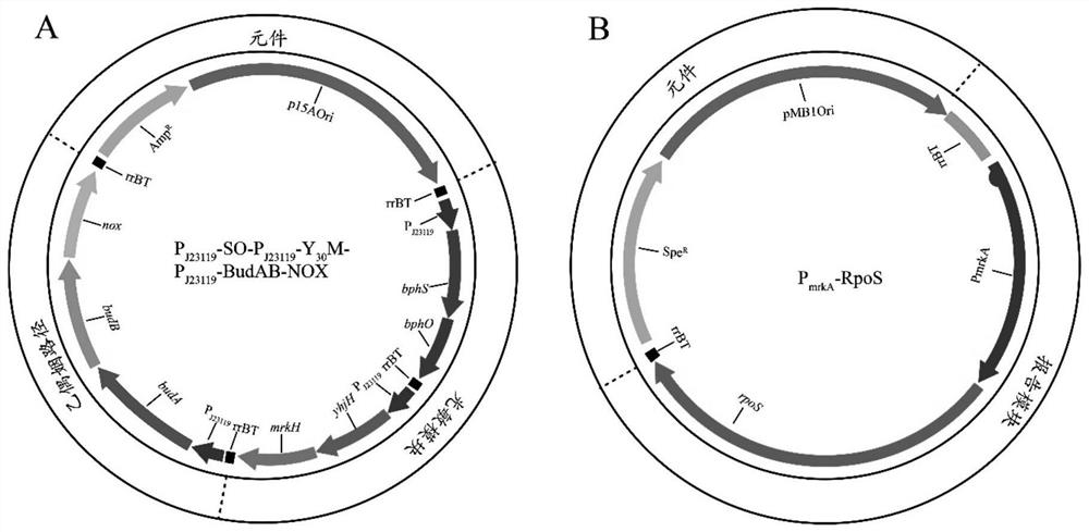 A dynamic control system for near-infrared light control and its application