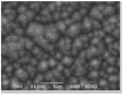 Preparation method of micro nano composite textured structure black silicon and black silicon solar cells