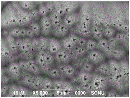 Preparation method of micro nano composite textured structure black silicon and black silicon solar cells