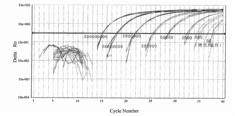 Reagent for extracting RNA or DNA virus in body fluid