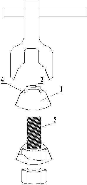 Anti-theft and anti-disassembly nut shield