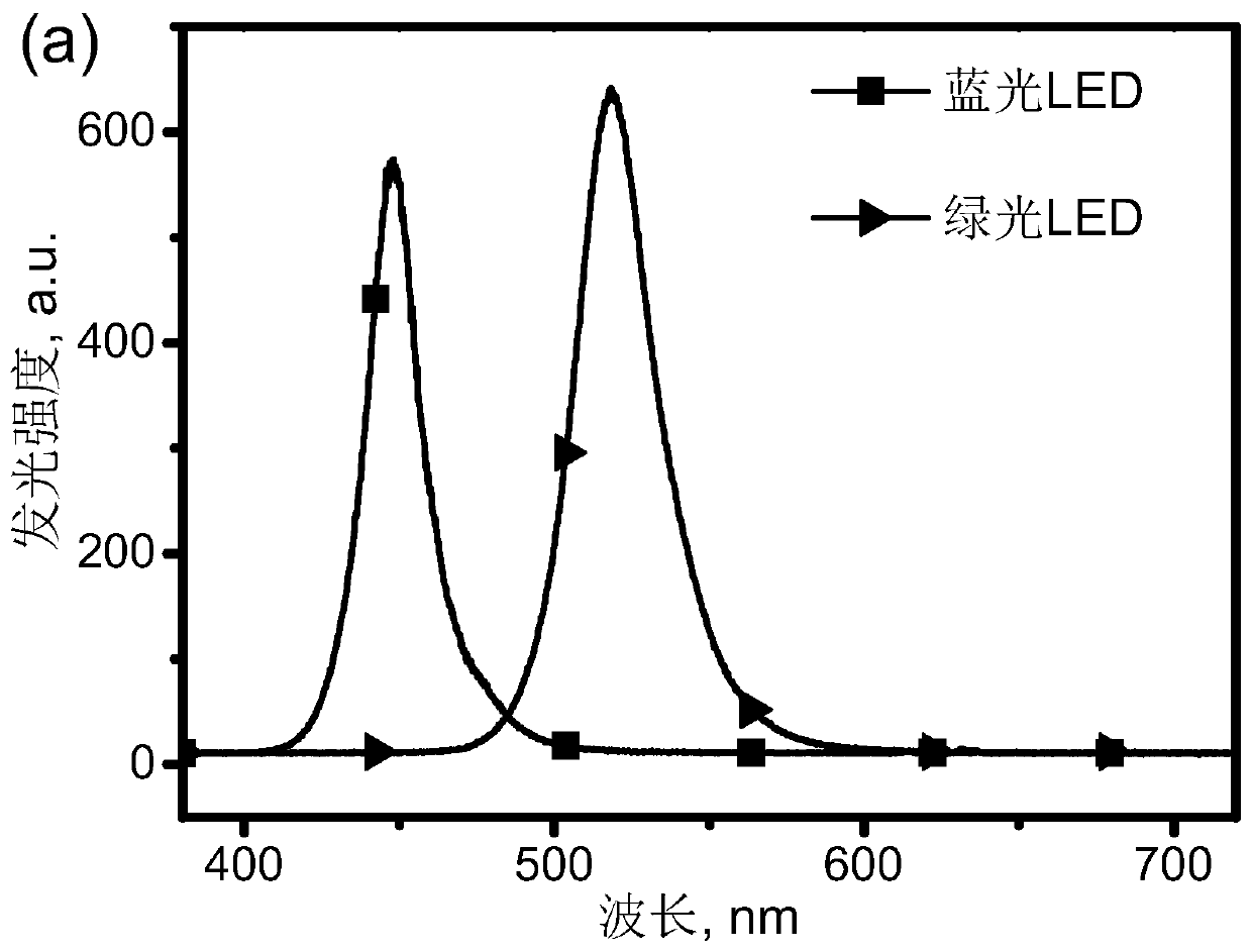 Display device light source module for promoting growth and repair of retinal cells and visual neurons, display screen and application